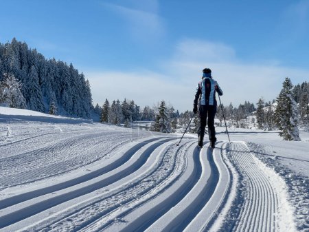 Téléchargez les photos : Belle et active femme âgée ski de fond dans le domaine Hochhaedrich de la forêt de Bregenz à Vorarlberg, Autriche - en image libre de droit