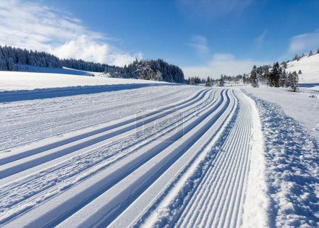 Téléchargez les photos : Paysage hivernal enneigé tranquille dans les montagnes de la forêt de Bregenz, Vorarlberg, Autriche - en image libre de droit