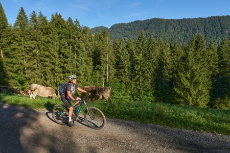 bonita mujer mayor montando su bicicleta de montaña eléctrica y disfrutando de la espectacular vista sobre los Alpes del Bosque Allgau y Bregenz cerca de Steibis, Baviera, Alemania