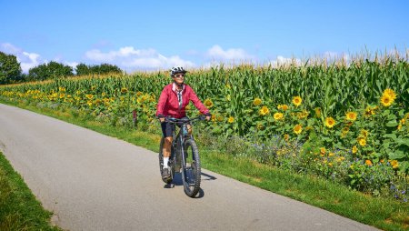 Foto de Agradable mujer mayor ciclismo con su bicicleta de montaña eléctrica en un campo floreciente de girasoles - Imagen libre de derechos