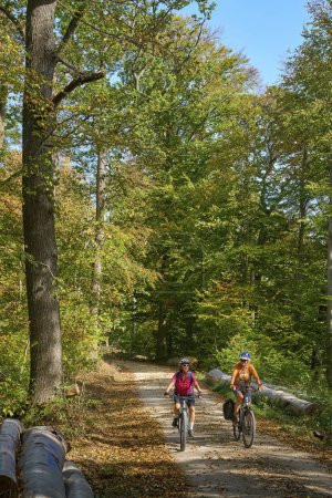nice senior girlfriends cycling with their electric bicycles in the autumnal forest of the Schwaebische Alb in Baden-Wuerttemberg, Germany