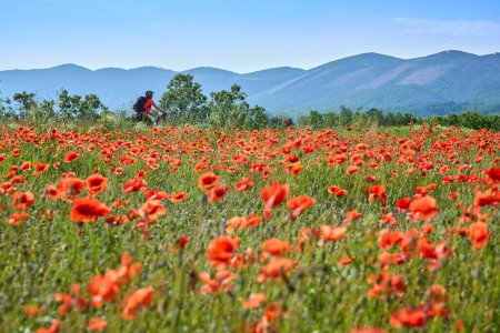 Foto de Agradable mujer en un recorrido en bicicleta con su bicicleta de montaña eléctrica en las montañas del Karst de Eslovenia cerca de Solkan - Imagen libre de derechos
