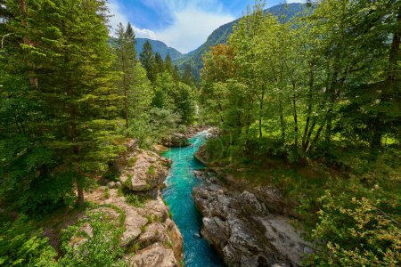 wild canyon with cristal clear turquoise water in the Soca valley, Trigalv National Park near Bovec, Slovenia