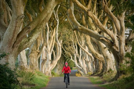Foto de Agradable mujer mayor ciclismo en la famosa avenida de haya de Dark Hedges cerca de Bushmills en Irlanda del Norte, Reino Unido - Imagen libre de derechos