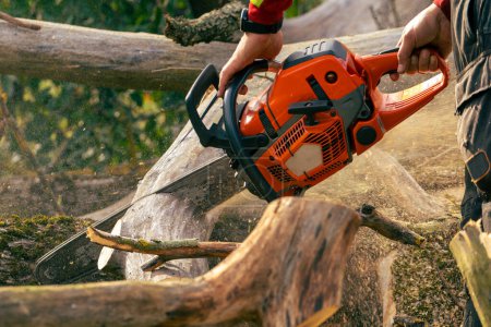 Foto de Un arborista con ropa protectora de aserrado brillante y un casco sierra un árbol caído en pedazos - Imagen libre de derechos
