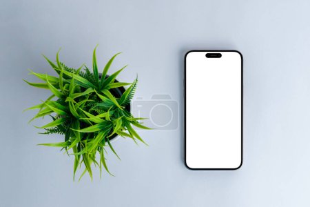 Photo for Phone mockup beside plant. Top view, flat lay composition. Modern phone with camera built into the display. Isolated, blank screen for app or web page presentation - Royalty Free Image