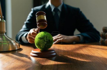 Hand of judge is hitting on earth with wooden gavel, Environmental law and international agreement about protocol for framework convention on climate change, world and environment sustainable conservation concept.