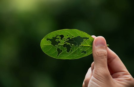 Hand of human is holding green leaf with world map, renewable energy carbon and business ESG goverment concept.
