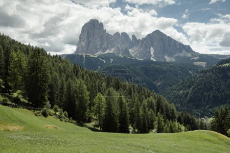 wide view on Sasso Lungo group from an alpine pasture in Dolomites