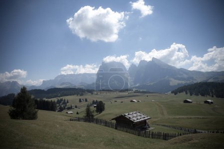 Les vastes prairies du côté nord du mont Sciliar de la région de l'Alpe di Siusi dans les Dolomites
