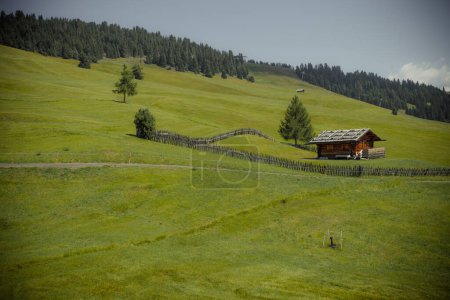 The wide meadows on the northern side of Sciliar mount from the Alpe di Siusi area in the Dolomites