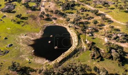 Téléchargez les photos : Vue aérienne des lièges et pâturages de la région d'Estrémadure - en image libre de droit