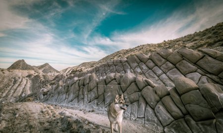 Téléchargez les photos : Paysage aride et pierreux dans le désert de Tabernas en Andalousie Espagne - en image libre de droit