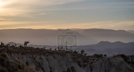 Foto de Paisaje del mini parque temático Hollywood wild west al atardecer en el desierto de Tabernas - Imagen libre de derechos