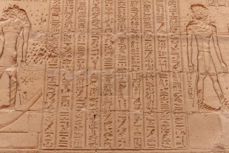Téléchargez les photos : Murs hiéroglyphiques dans le Temple Horus en Egypte - en image libre de droit