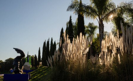 Landscape in Oriental Garden Bacalhoa Buddha Eden Park With art sculptures in Portugal