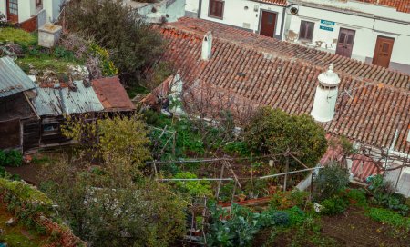 Foto de Huerto urbano de frutas y hortalizas en la ciudad de Serpa en la región del Alentejo, Portugal Viajes culturales urbanos - Imagen libre de derechos
