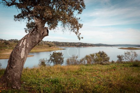 Landscape of Alqueva dam  in Alentejo Europe Portugal Nature und rural tourism