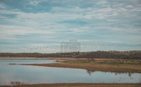 Photo for Landscape of Alqueva Lake with flying flock of birds in Alentejo Europe Portugal rural tourism - Royalty Free Image