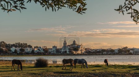 Landscape of the Lagoon in rocio in the Coto de Donana National Park at sunrise, Travel Spain Andalusia nature environment and important national parks