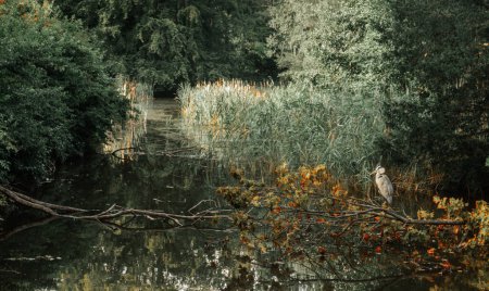 paysage dans le parc de Sanssouci à Potsdam Berlin-Brandebourg, Voyage Allemagne Culture et histoire Vue