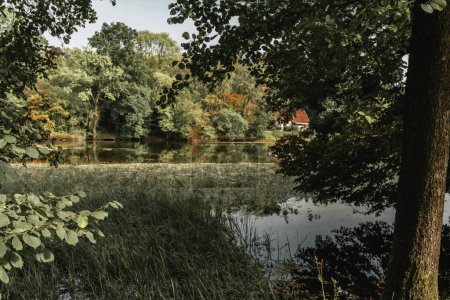 Maison au bord du lac dans la forêt de Teutoburg paysage naturel en Rhénanie du Nord-Westphalie