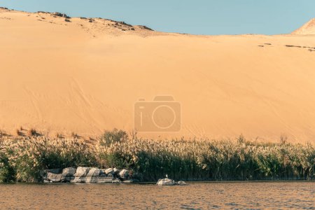 Niluferoasen in Ägypten