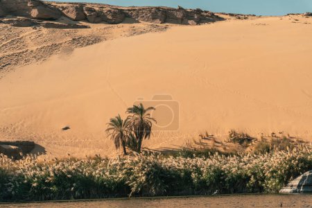 Nilufer Oasen Landschaft in Ägypten, Reisen Ägypten Nilkreuzfahrt