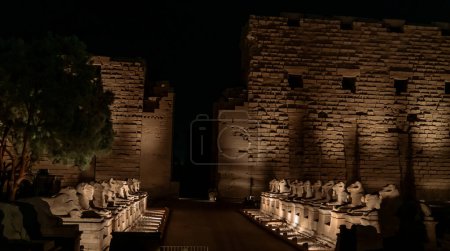 light show in Karnak Temple in egypt