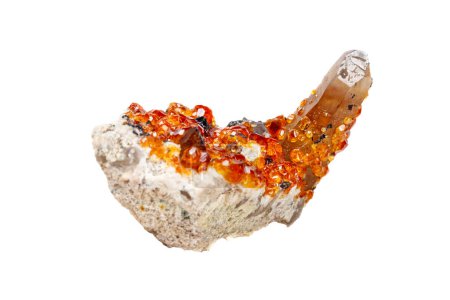 Spessartiner Mineralstein, orange, roter Granat mit Quarz auf weißem Hintergrund Nahaufnahme