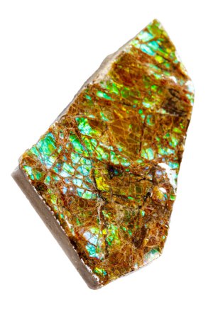 ammolite mineral stone on white background close up