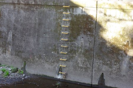  Evacuation ladder for emergencies installed on the riverbed                              