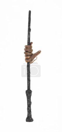 Téléchargez les photos : Snake on a magic wand isolated on white background - en image libre de droit