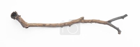 broken stick snag isolated on white background-stock-photo