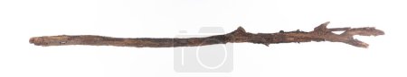 Photo for Magic stick, wooden walking stick isolated on white background - Royalty Free Image