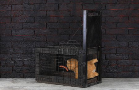 Photo pour Maille métallique cage piège animal - image libre de droit