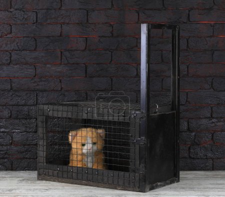 Photo pour Maille métallique cage piège animal - image libre de droit