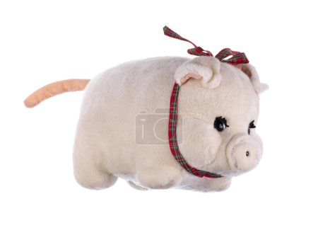 Foto de Blanco lindo peluche suave juguete cerdo aislado sobre fondo blanco - Imagen libre de derechos