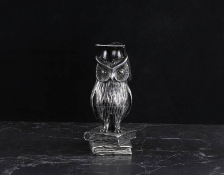Foto de Figura de búho, un símbolo de sabiduría sobre un fondo negro - Imagen libre de derechos
