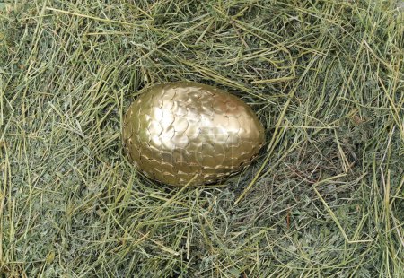 huevo de dragón dorado en el heno