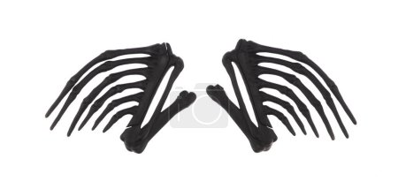 esqueleto negro de alas de pájaro aisladas sobre fondo blanco