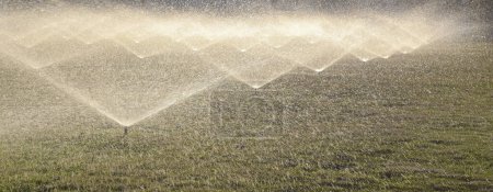 Foto de Automatic water irrigation system for lawn - Imagen libre de derechos