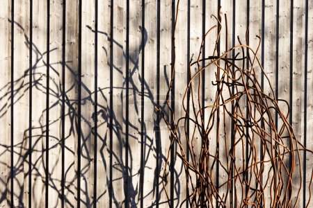 Téléchargez les photos : Barres d'acier de structure rouillées discrètement pliées jettent un motif sauvage sur un mur de conseil - en image libre de droit