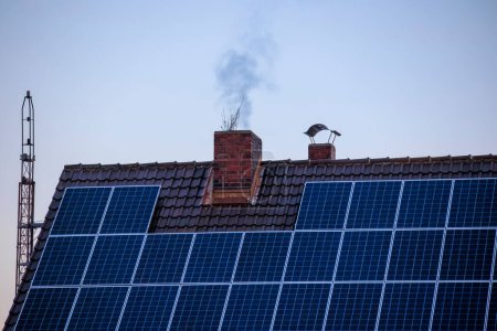 Foto de Un techo con paneles fotovoltaicos en una casa con una chimenea humeante desde la que crece un árbol - Imagen libre de derechos