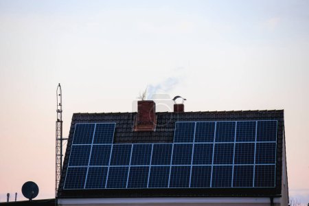 Foto de Un techo con paneles fotovoltaicos en una casa con una chimenea humeante desde la que crece un árbol - Imagen libre de derechos