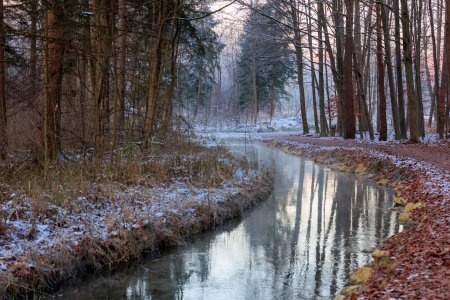Téléchargez les photos : Sentiers forestiers enneigés d'hiver avec couverture de neige à Sibenbrunn près d'Augsbourg le long du ruisseau Brunnenbach - en image libre de droit