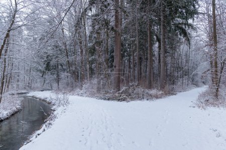 Foto de Senderos nevados de invierno con cubierta de nieve en Sibenbrunn cerca de Augsburgo a lo largo del arroyo Brunnenbach - Imagen libre de derechos