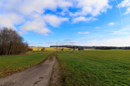 Téléchargez les photos : A dirt road leads out of the shade into the sun under blue sky near Geltendorf in Bavaria between meadows - en image libre de droit