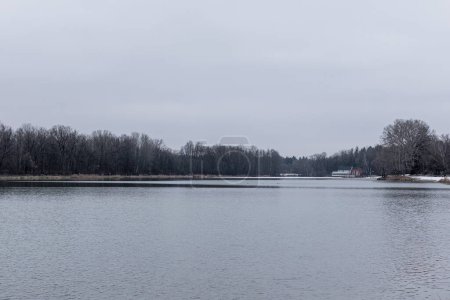 Photo for View over Kuhsee lake with seagulls ducks and swans near Augsburg on a cold gray winter day - Royalty Free Image