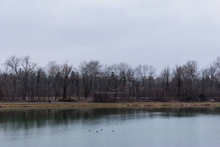 Téléchargez les photos : Vue sur le lac Kuhsee avec des mouettes canards et cygnes près d'Augsbourg par une froide journée d'hiver grise - en image libre de droit